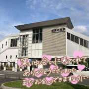 ヒメ日記 2026/02/17 12:52 投稿 ありす 待ちナビ