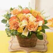 ヒメ日記 2026/02/18 10:25 投稿 ありす 待ちナビ