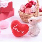 ありす T様へ❤️ご予約💓 待ちナビ