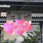 ヒメ日記 2026/04/17 19:25 投稿 ありす 待ちナビ