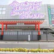 ヒメ日記 2026/05/03 15:40 投稿 ありす 待ちナビ