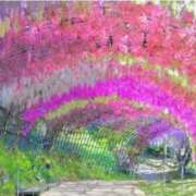 ヒメ日記 2026/05/15 12:45 投稿 ありす 待ちナビ