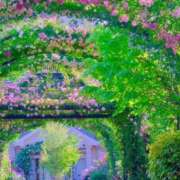 ヒメ日記 2026/05/22 13:45 投稿 ありす 待ちナビ