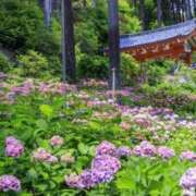 ヒメ日記 2026/06/14 07:35 投稿 ありす 待ちナビ