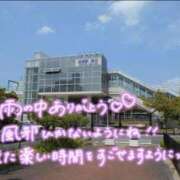 ヒメ日記 2026/06/24 13:55 投稿 ありす 待ちナビ