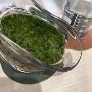 ヒメ日記 2025/06/07 17:36 投稿 倉多 みなみ 川崎南町人妻高級ソープ エル・カーヒル(ELCURHIL)秘密の刻