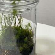 ヒメ日記 2025/06/16 16:41 投稿 倉多 みなみ 川崎南町人妻高級ソープ エル・カーヒル(ELCURHIL)秘密の刻