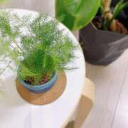 ヒメ日記 2025/08/01 09:56 投稿 倉多 みなみ 川崎南町人妻高級ソープ エル・カーヒル(ELCURHIL)秘密の刻