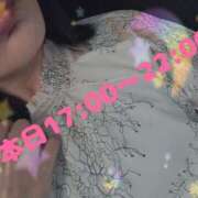 ヒメ日記 2025/05/19 17:03 投稿 みゆ 大高・大府市・東海市ちゃんこ