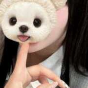 ヒメ日記 2025/05/29 19:19 投稿 白雪 シルクハット