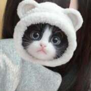 ヒメ日記 2025/06/01 17:54 投稿 白雪 シルクハット