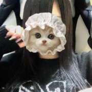 ヒメ日記 2025/06/10 19:30 投稿 白雪 シルクハット