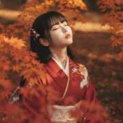 ヒメ日記 2025/11/20 18:01 投稿 白雪 シルクハット