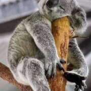 ヒメ日記 2025/12/18 18:00 投稿 白雪 シルクハット