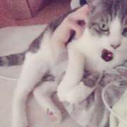 ヒメ日記 2026/01/11 12:01 投稿 白雪 シルクハット