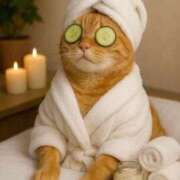 ヒメ日記 2026/01/17 12:01 投稿 白雪 シルクハット