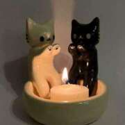 ヒメ日記 2026/01/29 07:01 投稿 白雪 シルクハット