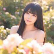 ヒメ日記 2026/01/31 08:01 投稿 白雪 シルクハット