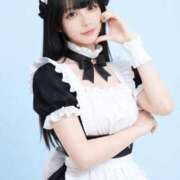 ヒメ日記 2026/02/01 07:00 投稿 白雪 シルクハット