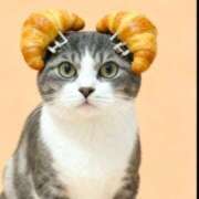 ヒメ日記 2026/03/03 18:01 投稿 白雪 シルクハット