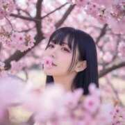 ヒメ日記 2026/04/05 18:01 投稿 白雪 シルクハット