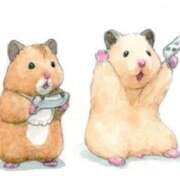 ヒメ日記 2026/04/09 12:02 投稿 白雪 シルクハット