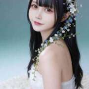 ヒメ日記 2026/04/17 08:00 投稿 白雪 シルクハット