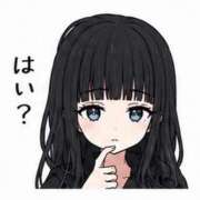 ヒメ日記 2026/09/08 08:01 投稿 白雪 シルクハット