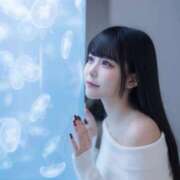 ヒメ日記 2026/09/09 12:02 投稿 白雪 シルクハット