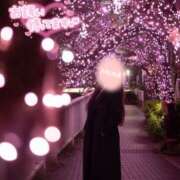 みな しゅ！ クレイジーキャバクラ パニック