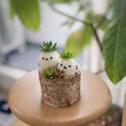 藤宮あまね よく見たら…💓 おもてなし妻