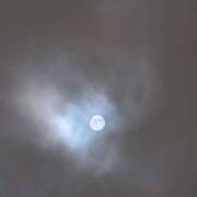 ヒメ日記 2026/03/04 00:54 投稿 藤宮あまね おもてなし妻