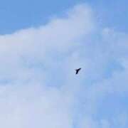 ヒメ日記 2026/08/01 00:43 投稿 藤宮あまね おもてなし妻