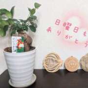 藤宮あまね また思い出してくれること…✨ おもてなし妻