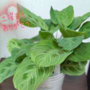 ヒメ日記 2026/09/27 01:17 投稿 藤宮あまね おもてなし妻