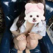 ヒメ日記 2025/05/14 19:15 投稿 めあ にゃんだ☆full☆MIX（にゃんだふるみっくす）