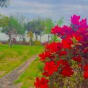 べてぃ 出勤🦖 奴隷コレクション梅田店