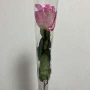 ヒメ日記 2025/06/03 17:18 投稿 れな 素敵な女の子は好きですか？