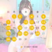 ヒメ日記 2025/12/16 19:10 投稿 ゆめ TOKYO BUNNYS CLUB