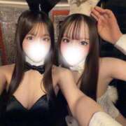 ヒメ日記 2026/01/22 19:13 投稿 ゆめ TOKYO BUNNYS CLUB