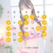 ヒメ日記 2026/02/22 18:13 投稿 ゆめ TOKYO BUNNYS CLUB