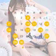 ヒメ日記 2026/05/20 12:09 投稿 ゆめ TOKYO BUNNYS CLUB