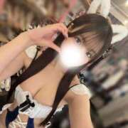 ゆめ 姫予約について🩷 TOKYO BUNNYS CLUB