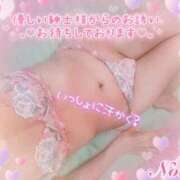 ヒメ日記 2025/09/15 08:20 投稿 ノア◆SP可◆ Ageha(アゲハ)