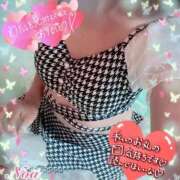 ヒメ日記 2025/10/10 10:20 投稿 ノア◆SP可◆ Ageha(アゲハ)