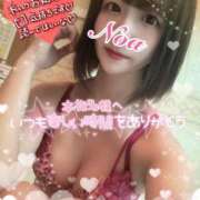 ヒメ日記 2025/11/15 13:30 投稿 ノア◆SP可◆ Ageha(アゲハ)