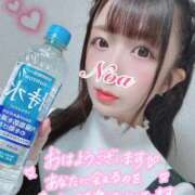 ヒメ日記 2026/04/04 10:50 投稿 ノア◆SP可◆ Ageha(アゲハ)