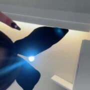 ヒメ日記 2025/08/13 16:51 投稿 ゆめ★業界完全未経験♥ BUNNY PLAS