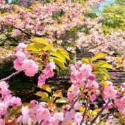 ヒメ日記 2025/05/25 12:14 投稿 春野あいみ お姉さんCLUB