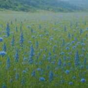 ヒメ日記 2025/05/31 12:05 投稿 春野あいみ お姉さんCLUB